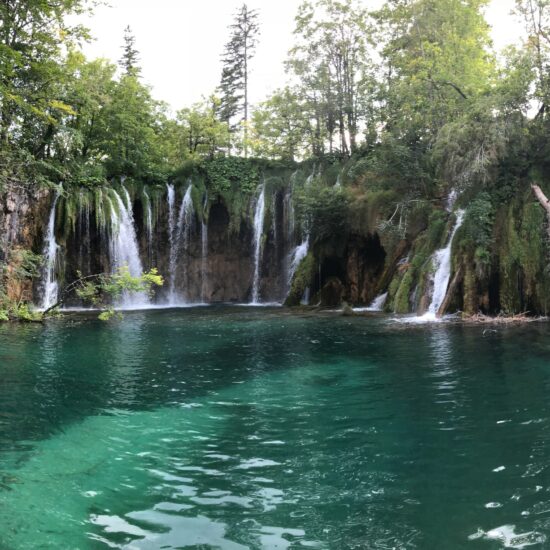 green body of water between green trees during daytime