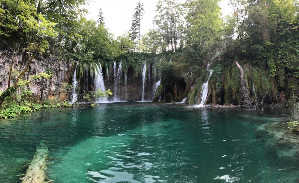 green body of water between green trees during daytime